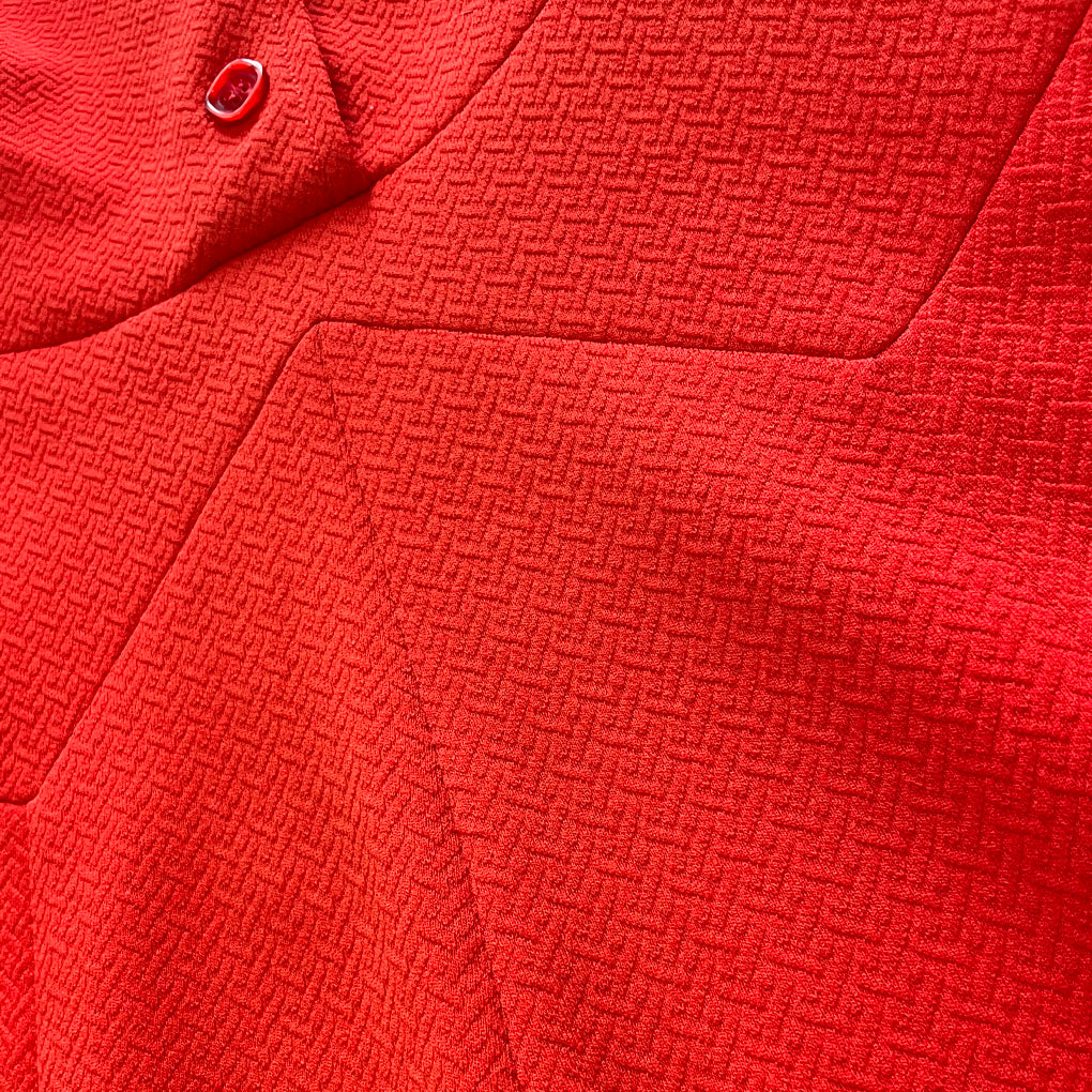 Vintage Red Dress 1960s